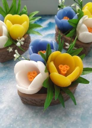 Мило "шматочок весни - крокуси"
