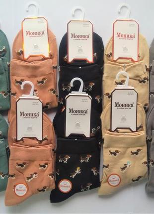 Шкарпетки жіночі моніка демісезонні з собачками 36-41 кольорові