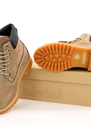 Черевики timberland 40-443 фото