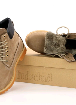 Черевики timberland 40-442 фото