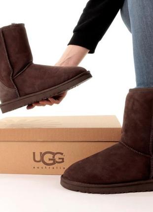 Уги ugg  ❄️1 фото