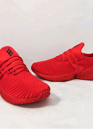 Кросівки adidas alphabounce