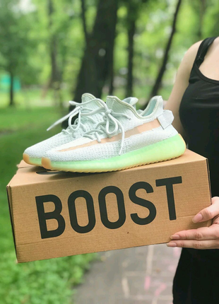 Adidas yeezy boost 350 v21 фото