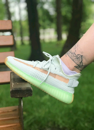 Adidas yeezy boost 350 v24 фото