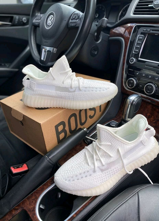 Adidas yeezy boost 350 v2