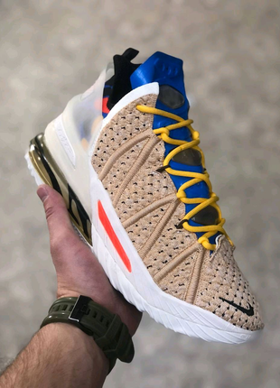 Nike lebron 18