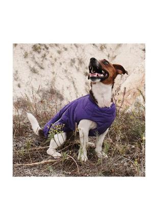 Жилет для собак pet fashion e.vest фіолетовий розмір xs4 фото