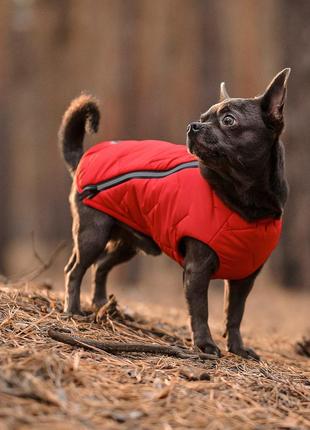 Жилет для собак pet fashion e.vest червоний розмір xs3 фото