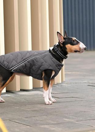 Жилет для собак pet fashion e.vest сірий розмір s3 фото