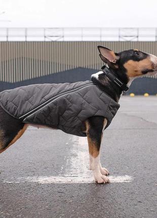 Жилет для собак pet fashion e.vest сірий розмір s6 фото