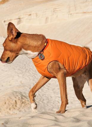 Жилет для собак pet fashion e.vest помаранчевий розмір xl3 фото