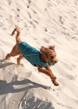 Жилет для собак pet fashion e.vest морська хвиля розмір sm4 фото