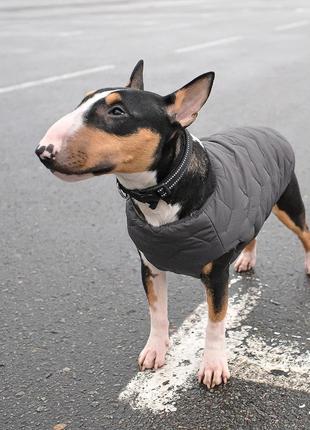 Жилет для собак pet fashion e.vest сірий розмір m4 фото