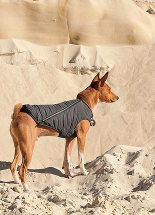 Жилет для собак pet fashion e.vest сірий розмір m5 фото