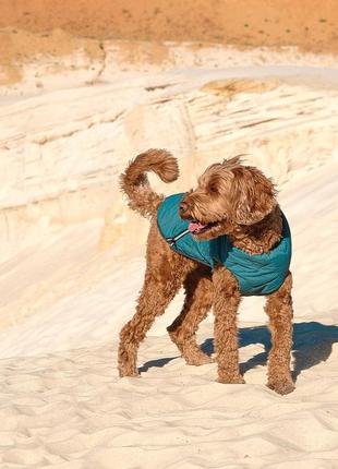 Жилет для собак pet fashion e.vest морська хвиля розмір l3 фото