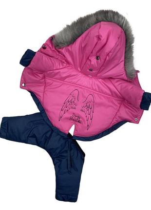 Зимовий комбінезон зі знімними штанами для собак dogs bomba co-28 малиновий2 фото