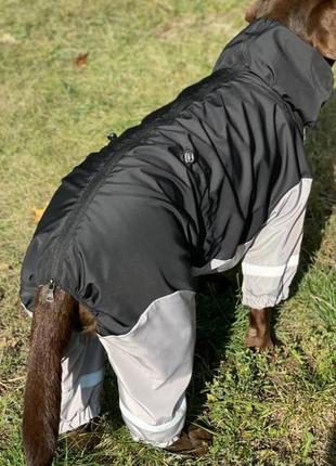 Дощовик для великих собак dogs bomba mb-6 чорний з сiрим2 фото