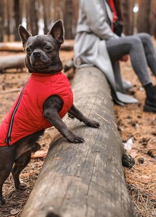 Жилет для собак pet fashion e.vest червоний розмір l4 фото