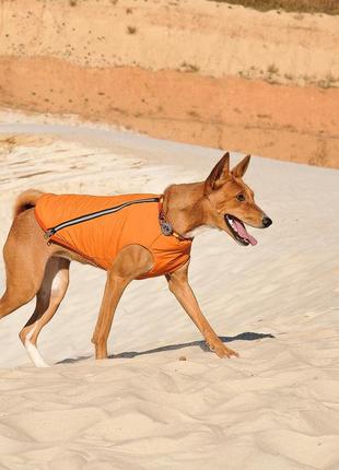 Жилет для собак pet fashion e.vest помаранчевий розмір sm4 фото