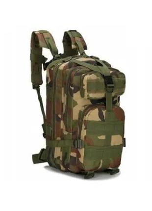 Тактичний рюкзак woodland 28л з системою molle (поліестер 600d)