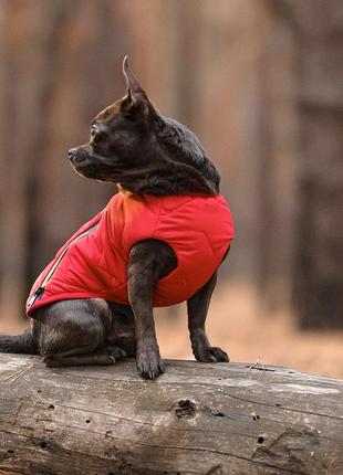 Жилет для собак pet fashion e.vest червоний розмір xs-25 фото
