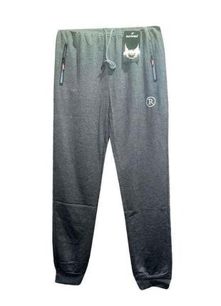 Спортивні штани манжет сірі арт.seri2152-2076-10 р.6xl тм nicolas