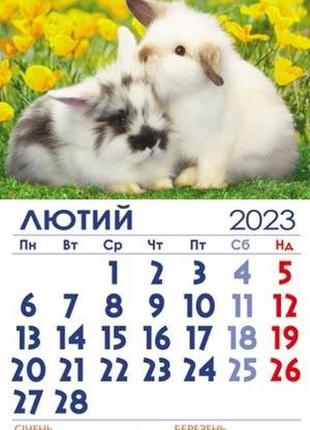 Календар настінний офісний економ на 2023 рік фарби міра2 фото