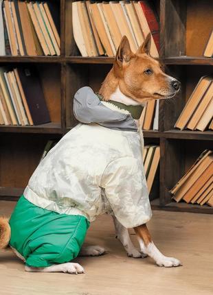 Зимовий костюм для собак pet fashion man зелений розмір xs-26 фото