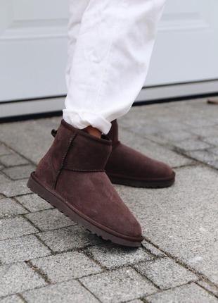 Угги ugg mini chocolate уги