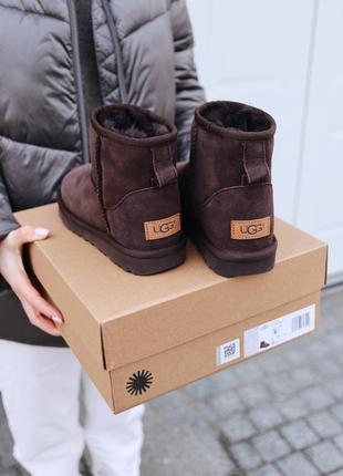 Угги ugg mini chocolate уги2 фото