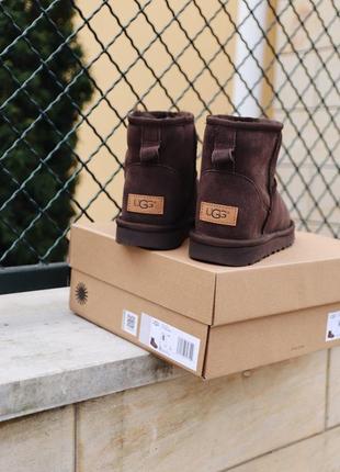 Угги ugg mini chocolate уги3 фото