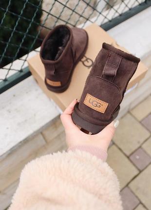 Угги ugg mini chocolate уги4 фото