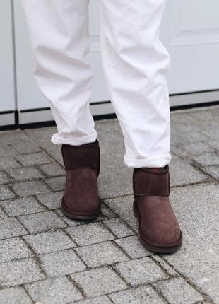 Угги ugg mini chocolate уги6 фото