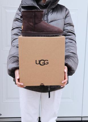 Угги ugg mini chocolate уги9 фото