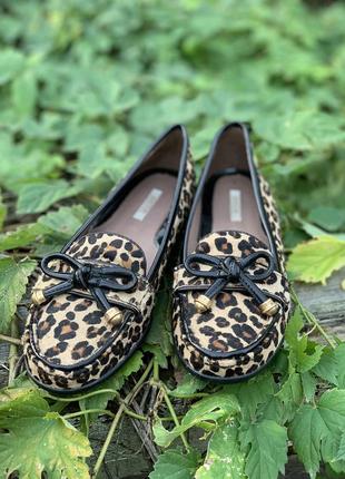 Geox leopard print shoes on sale