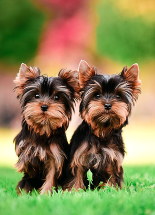 Самий гарний хлопчик 8