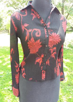 Червоно-чорна блуза