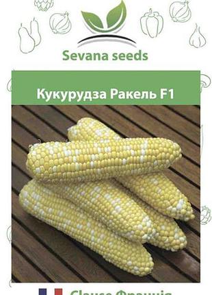 Насіння кукурудзи ракель f1 50 шт. суперсолодка clause