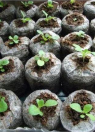 Торф'яні таблетки діаметр 41 мм 50 шт. rosla