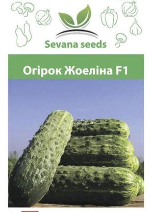 Насіння огірка жоэлина f1 50 шт. самозапильний новинка nunhems