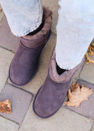 Угги ugg violet hearth уггі сапоги9 фото