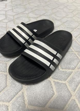 Сланцы adidas1 фото