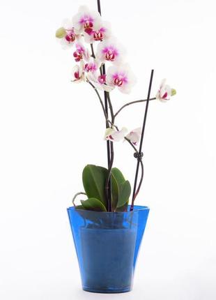 Кашпо для орхідей квадро еталон 1,5 синій2 фото