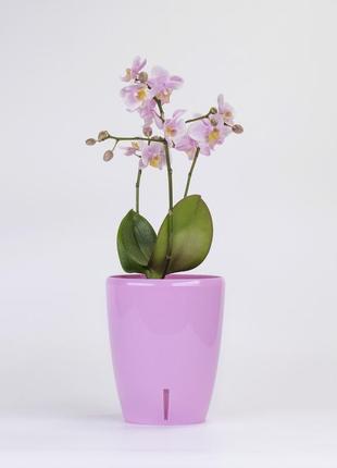Горщик для орхідеї з системою гнотового автополива orchidea tw...7 фото