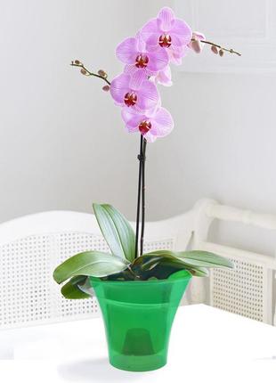 Кашпо для орхідей дельта 1,6 л эталон зелений прозорий2 фото