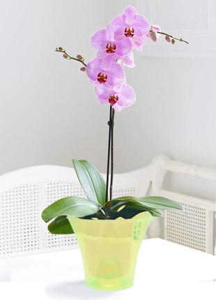 Кашпо для орхідей дельта 1,6 л эталон салатовий прозорий флуор...2 фото