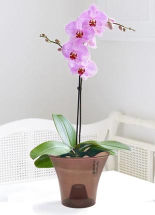 Кашпо для орхідей дельта 1,6 л эталон димчастий3 фото