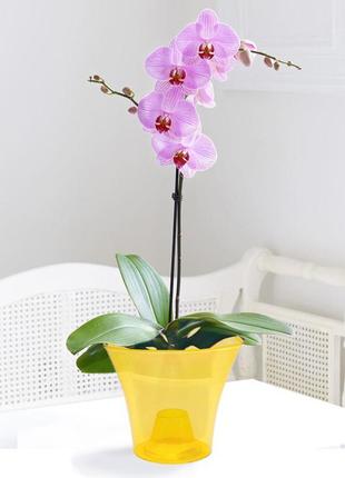 Кашпо для орхідей дельта 1,6 л эталон жовтий прозорий3 фото