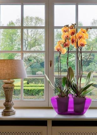 Горщик кашпо для орхідеї ламела луна фіолетовий прозорий2 фото