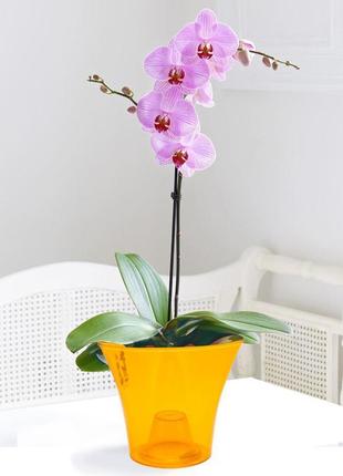 Кашпо для орхідей дельта 1,6 л эталон помаранчевий прозорий2 фото